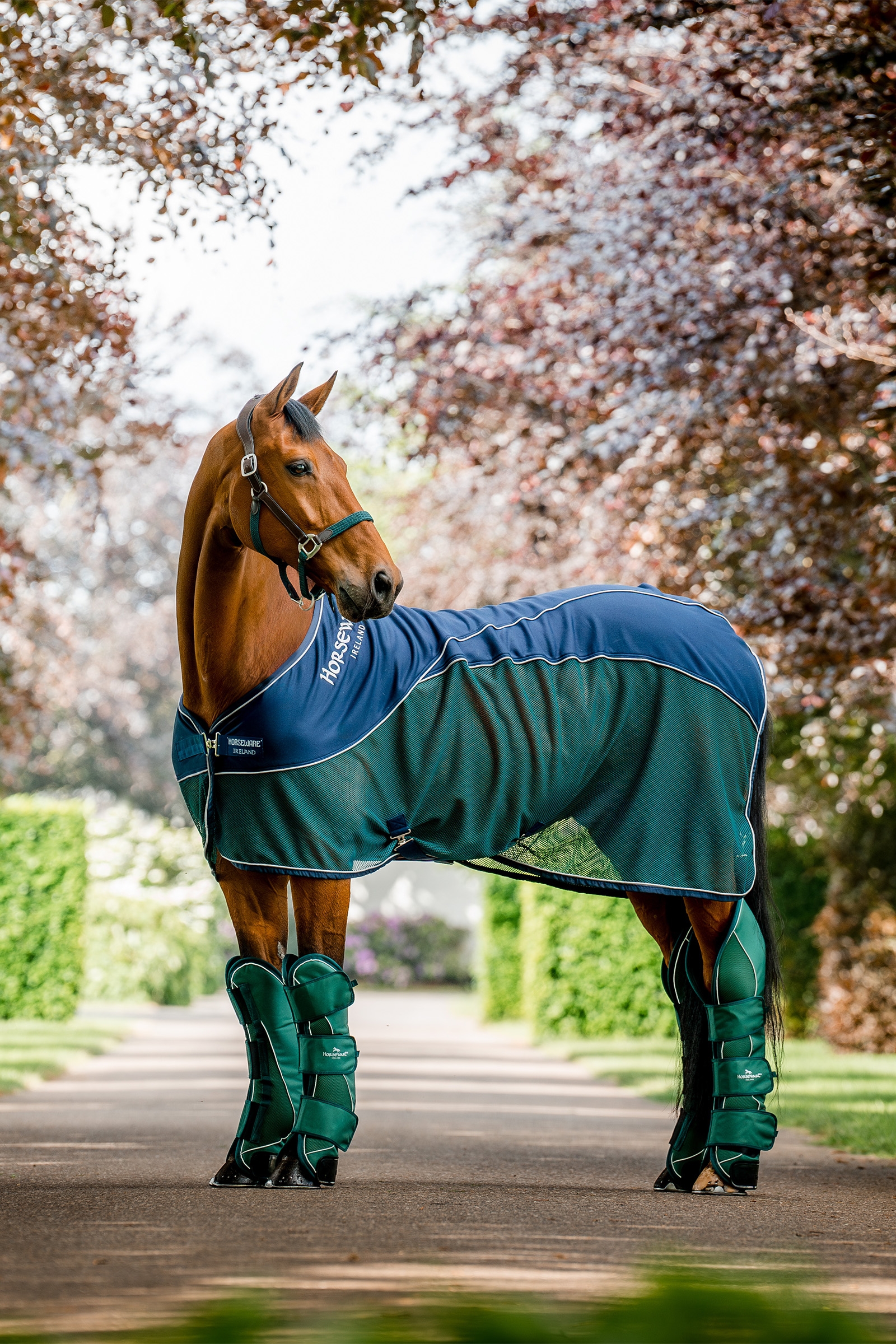 Horseware Signature Transport Beinskyttere