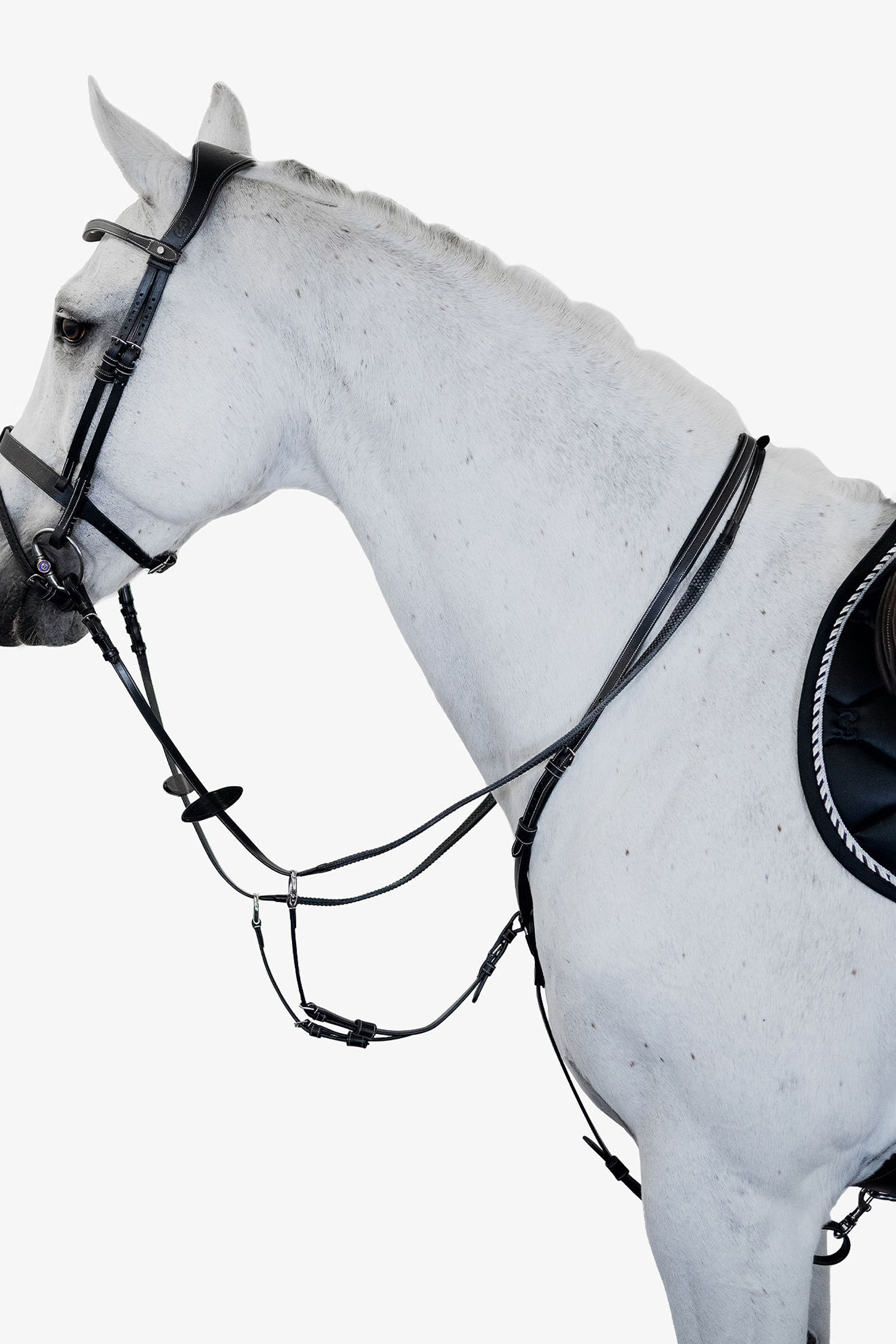 PS of Sweden Seoul Martingal