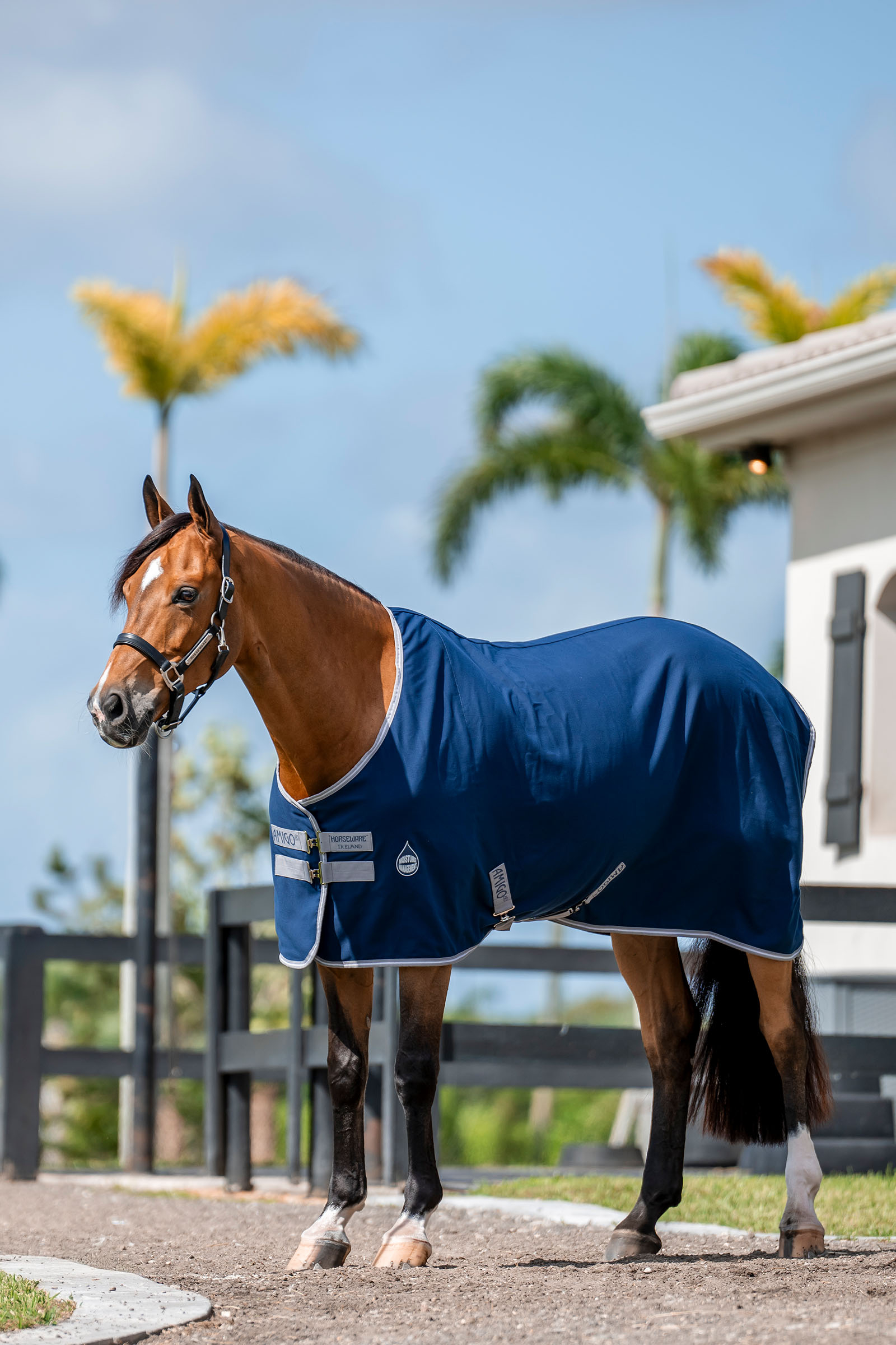 Horseware Amigo Stalldekken, 0g