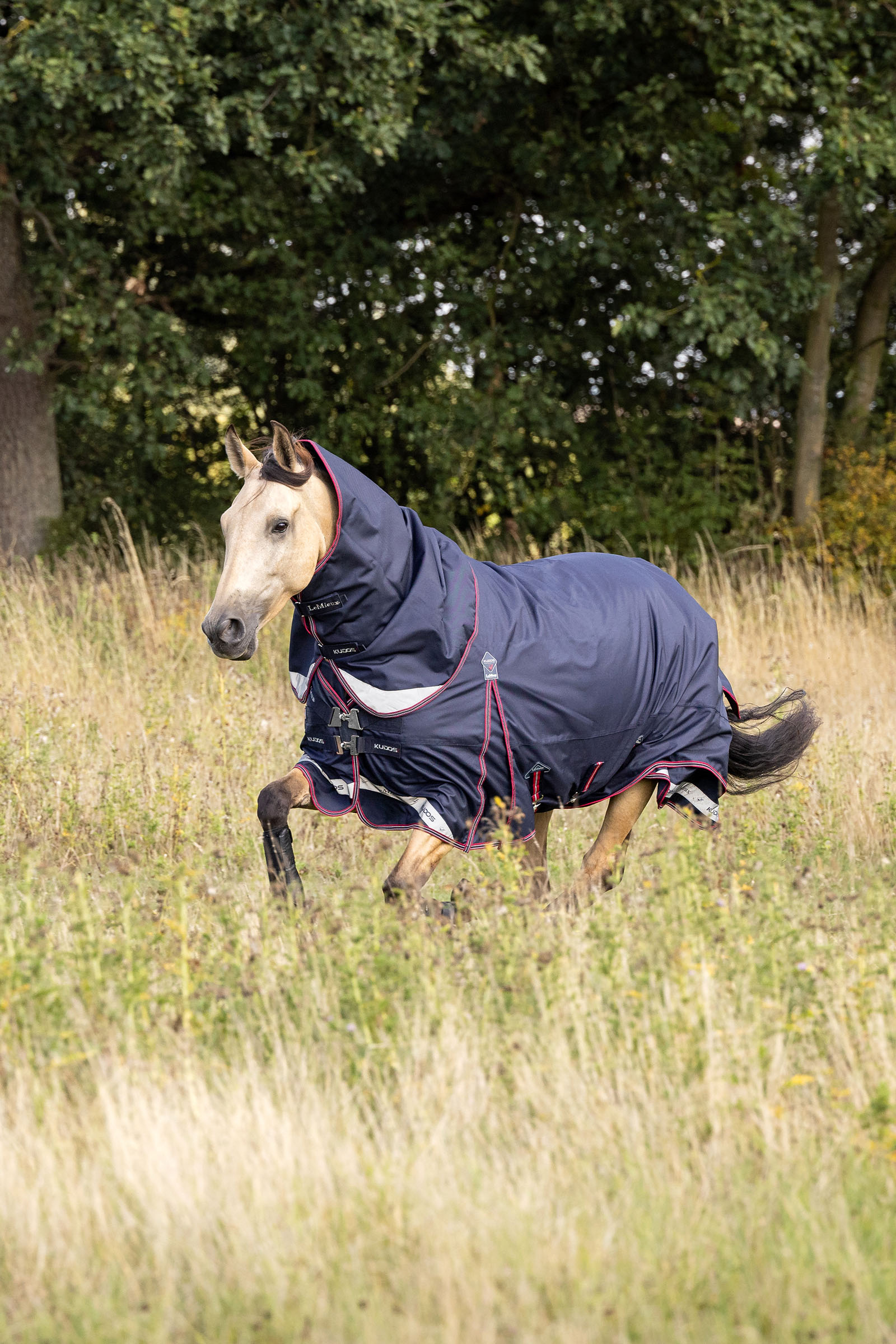 LeMieux Kudos lett utedekken, 100 g