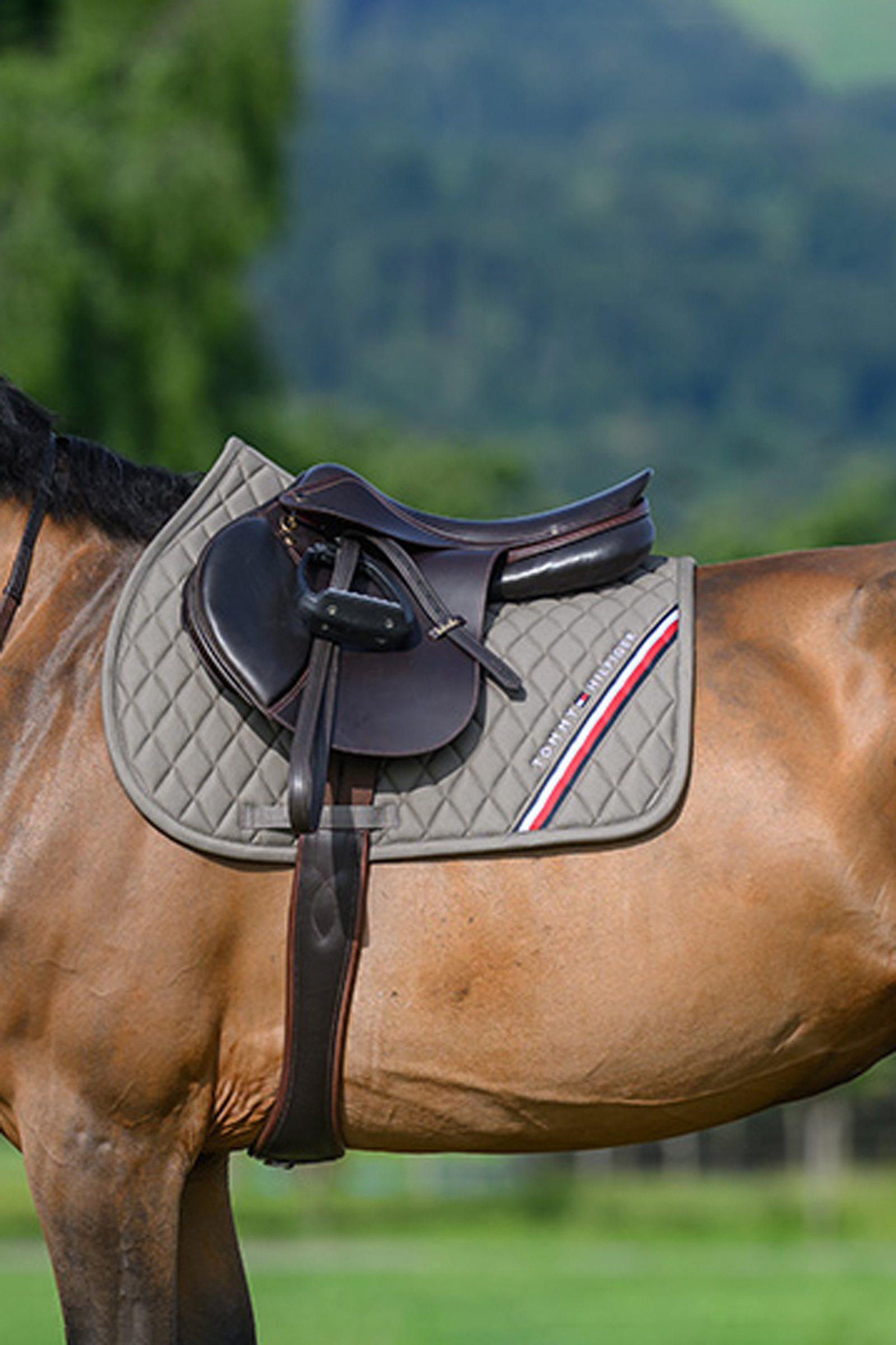Ash Tommy Hilfiger Equestrian Stanford sprangsjabrak
