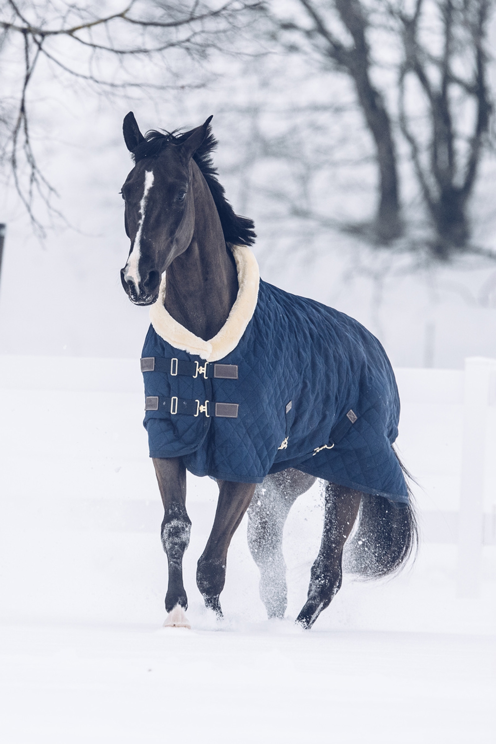 Kentucky Horsewear showdekken, 160 gram