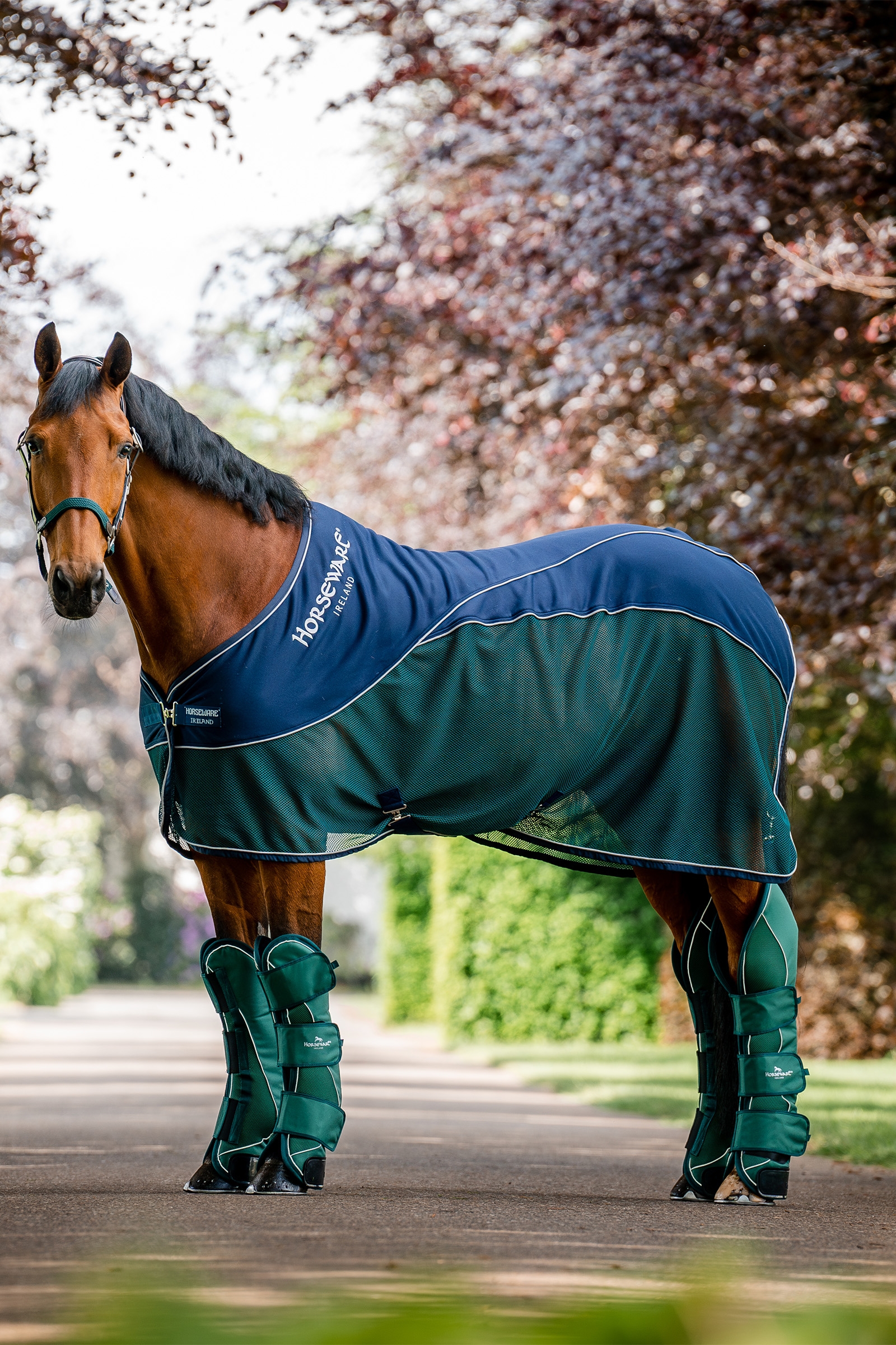 Horseware Signature Sport Svetteteppe