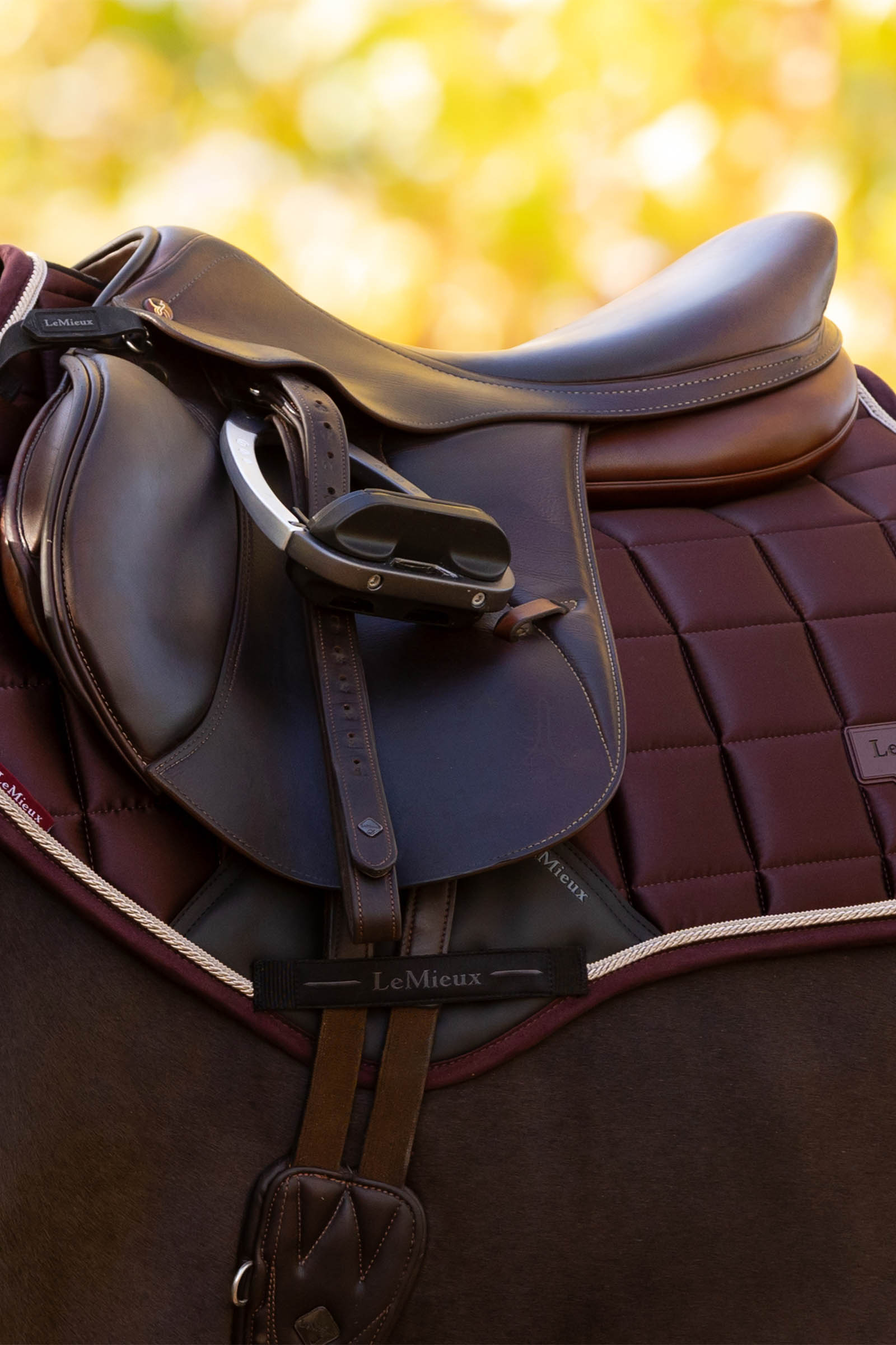 LeMieux Loire Square CC Sprangsjabrak