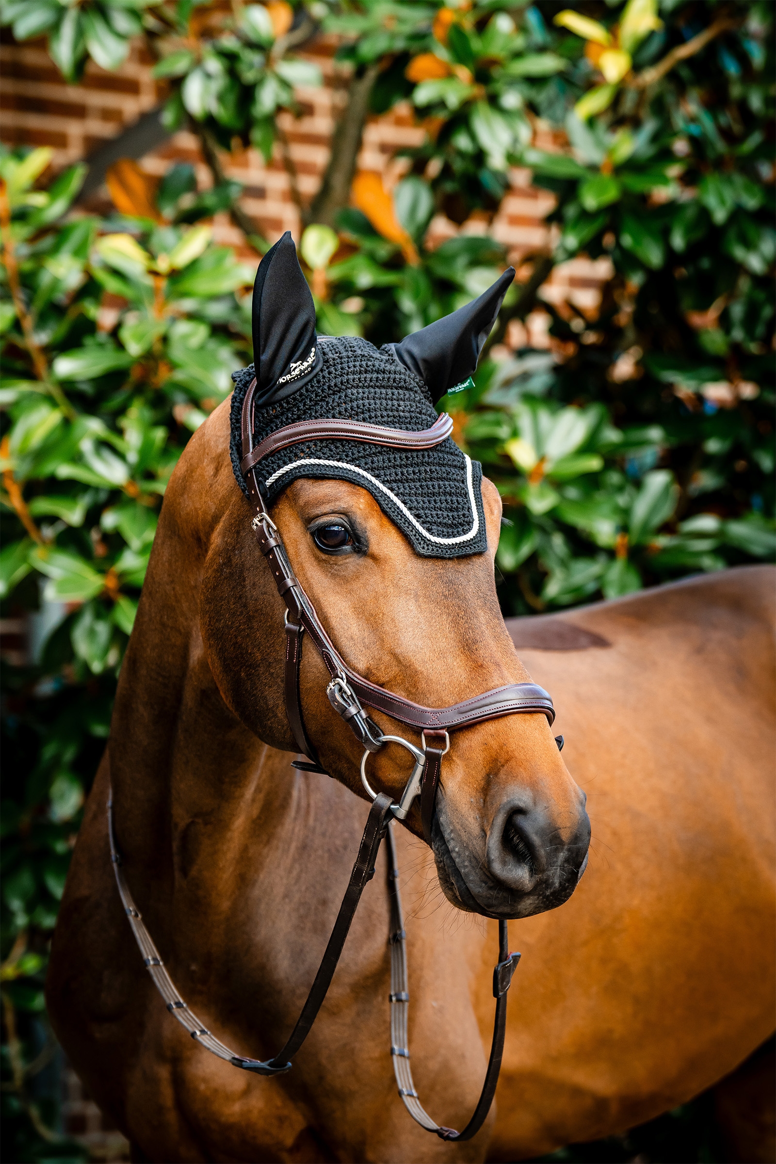 Black Horseware Signature fluehette